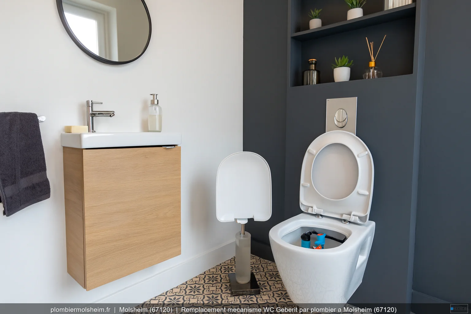 Pose WC au sol Allia Paris par plombier a Molsheim (67120)